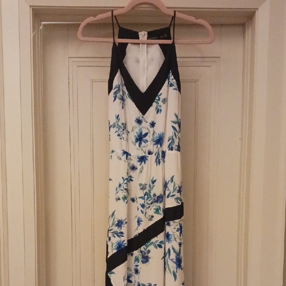 Floral Blue and White Dress
